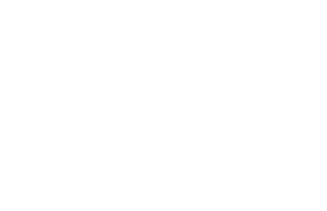 Endodontic Solutions by Engineered Endodontics